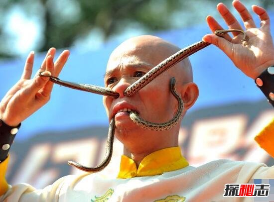 活吞毒蛇的人李韦心,生吞过600多条毒蛇